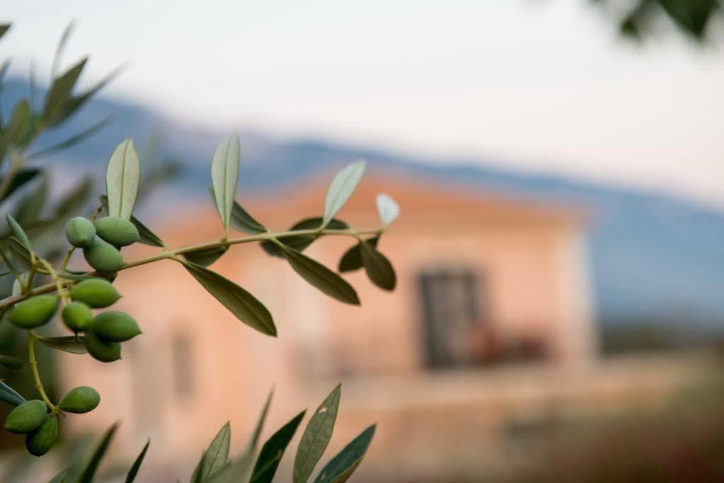 Korallis Villas Livathos  Exterior foto